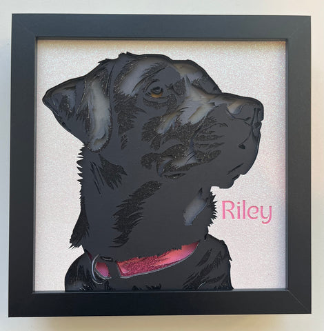 Black Lab 3D Shadowbox