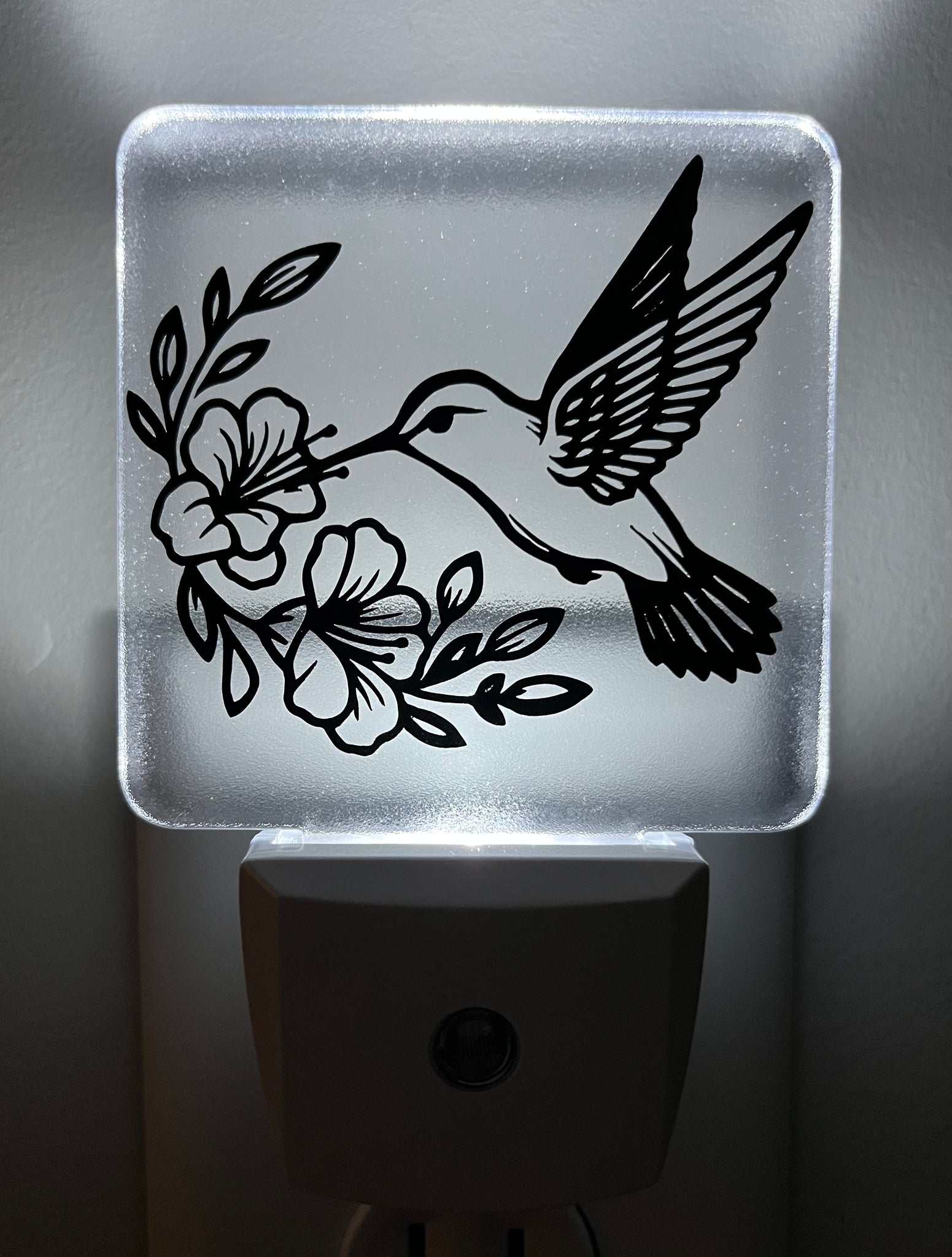 Hummingbird #2 Nightlight