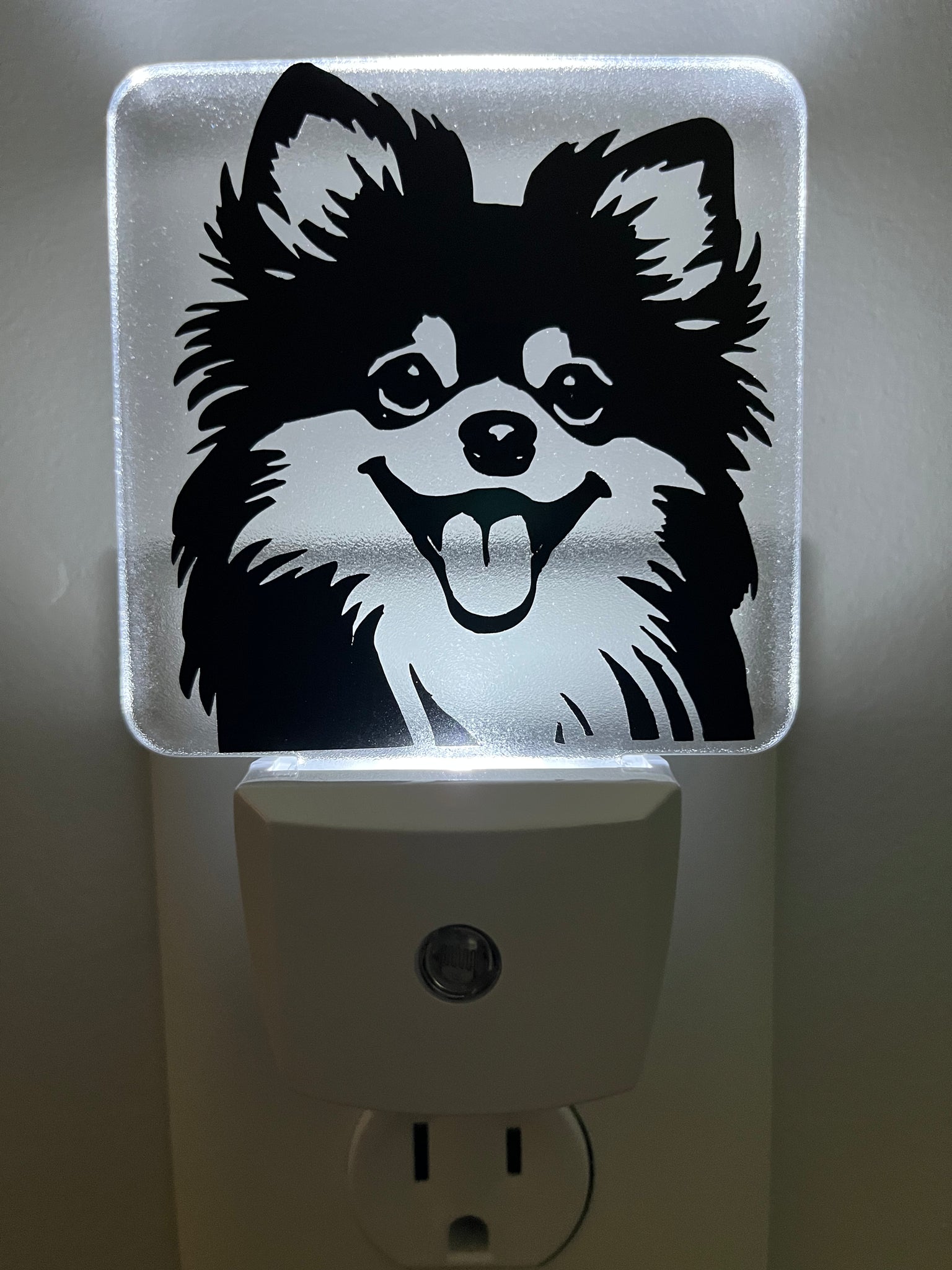 Pomeranian Nightlight