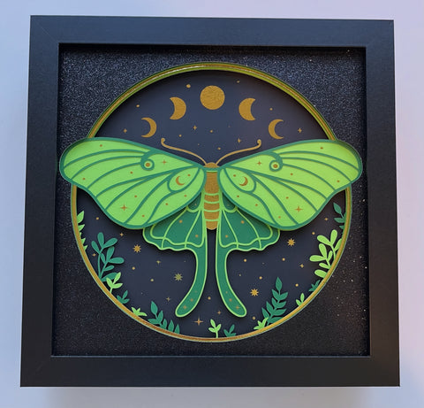 Luna Moth 3D Shadowbox
