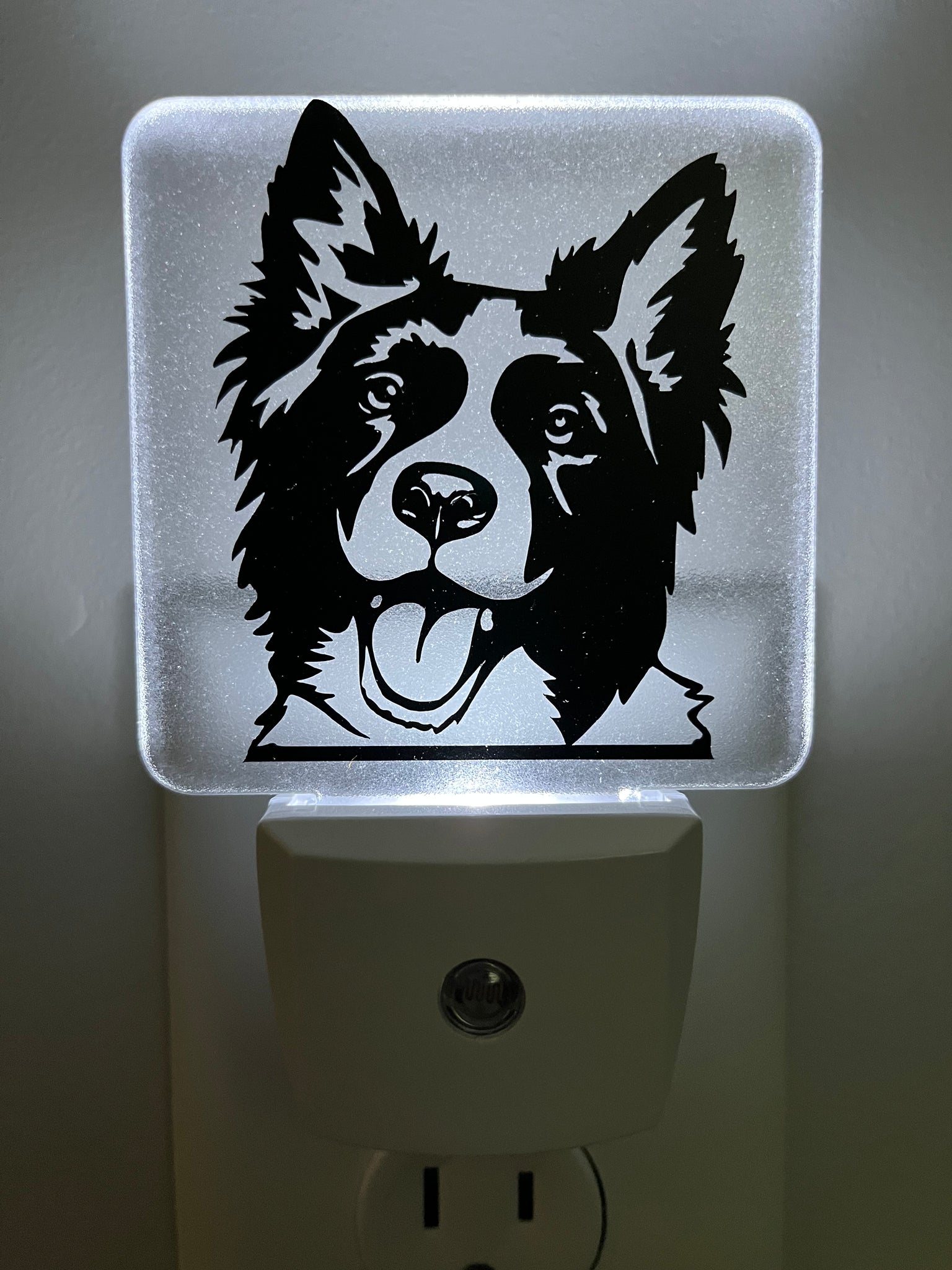Border Collie Dog Nightlight