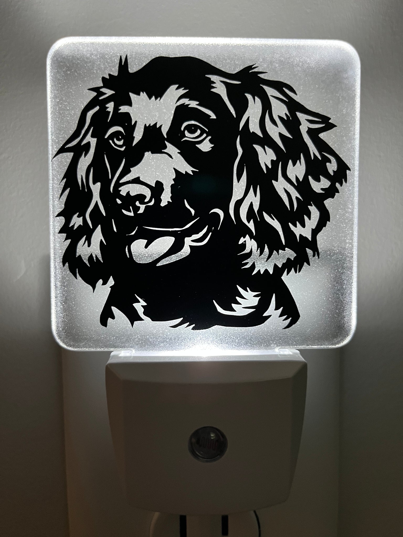 Boykin Spaniel Nightlight