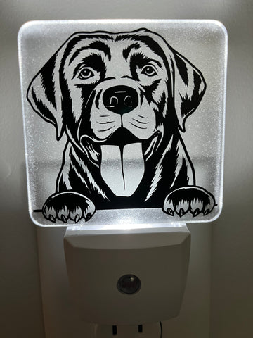 Lab Dog Nightlight #3