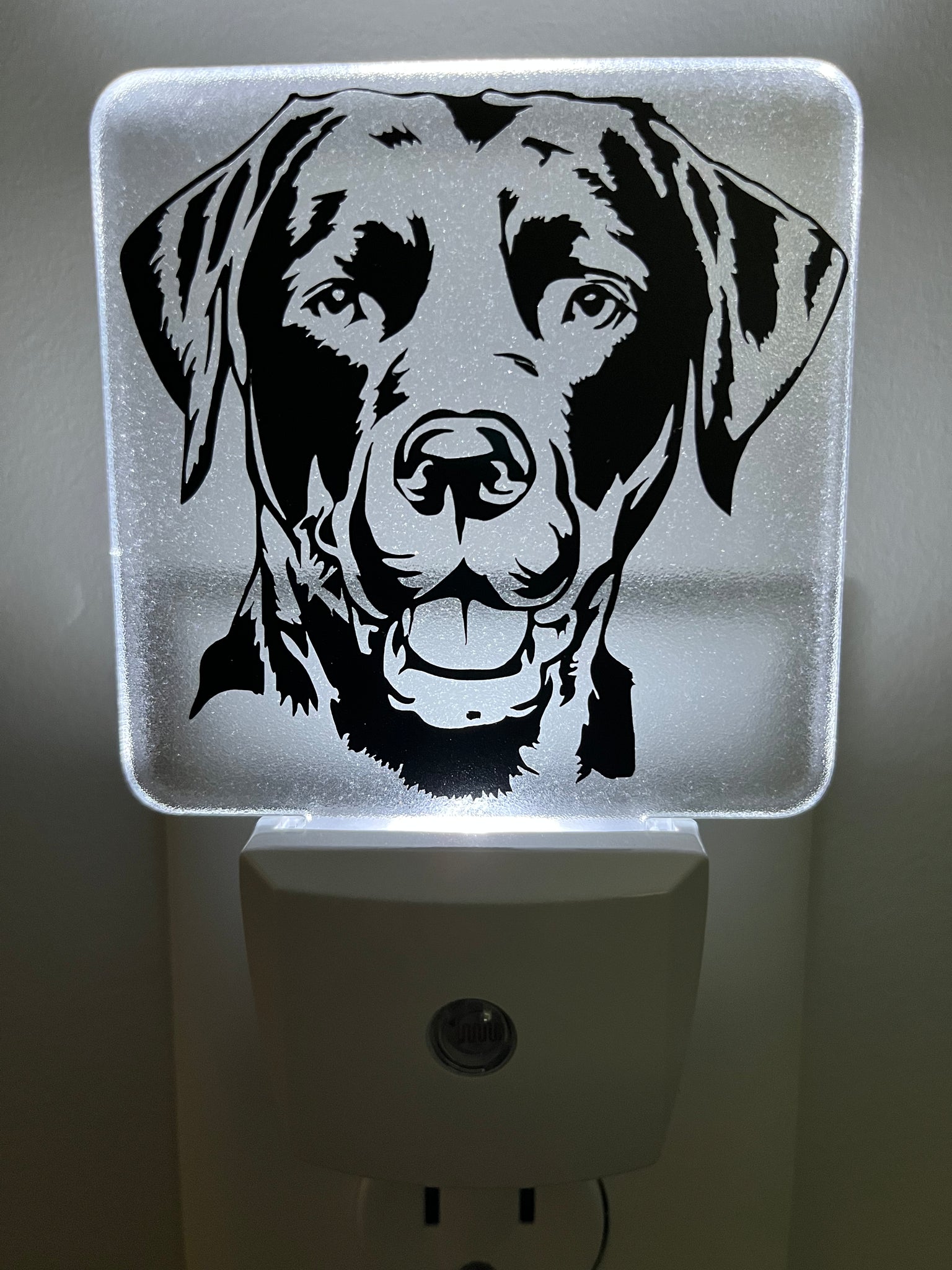 Lab Dog Nightlight #2