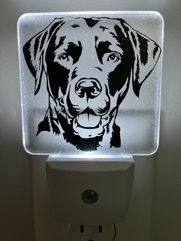 Lab Dog Nightlight #2